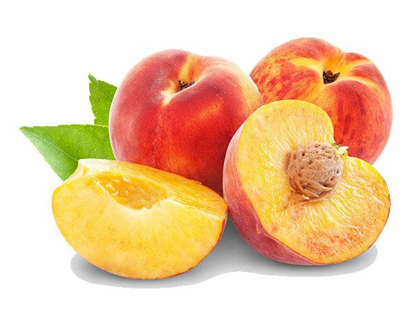 کاربرد کلسیم نیترات در درختان شلیل
