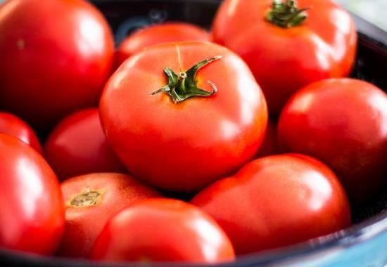 کاربرد کلسیم نیترات در محصول گوجه فرنگی 